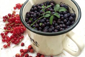 Terveysopisto Salus - tietoa marjoista